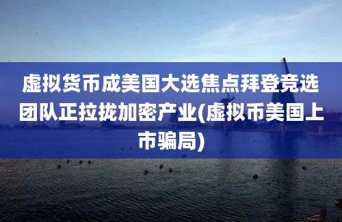 虚拟货币成美国大选焦点拜登竞选团队正拉拢加密产业(虚拟币美国上市骗局)