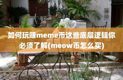 如何玩赚meme币这些底层逻辑你必须了解(meow币怎么买)