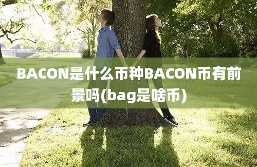 BACON是什么币种BACON币有前景吗(bag是啥币)