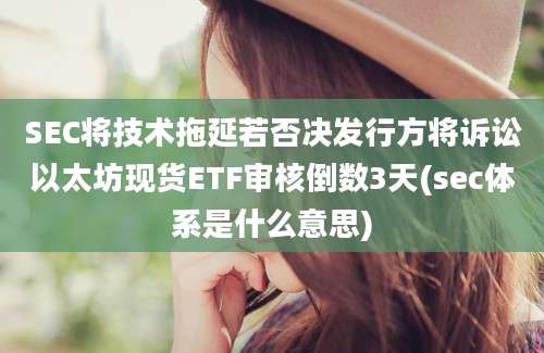 SEC将技术拖延若否决发行方将诉讼以太坊现货ETF审核倒数3天(sec体系是什么意思)