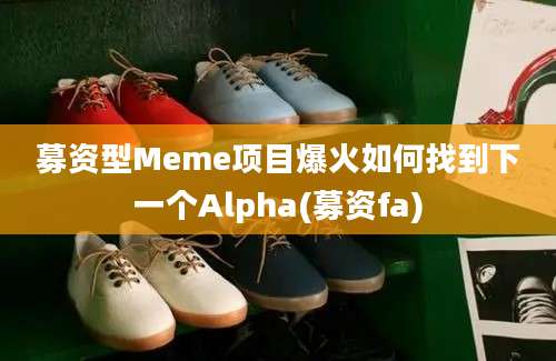 募资型Meme项目爆火如何找到下一个Alpha(募资fa)