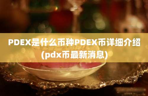 PDEX是什么币种PDEX币详细介绍(pdx币最新消息)