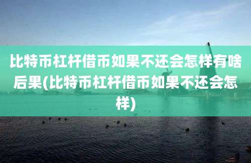 比特币杠杆借币如果不还会怎样有啥后果(比特币杠杆借币如果不还会怎样)