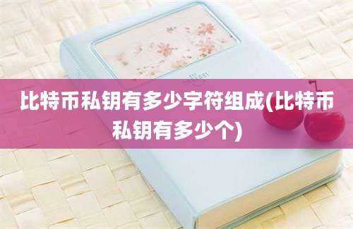 比特币私钥有多少字符组成(比特币私钥有多少个)