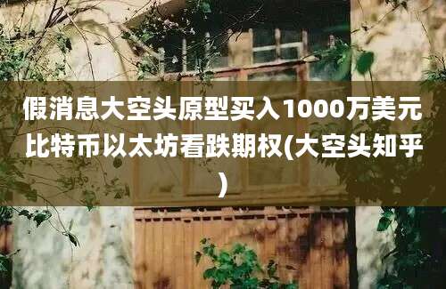 假消息大空头原型买入1000万美元比特币以太坊看跌期权(大空头知乎)