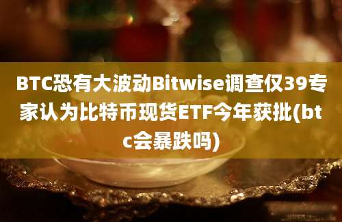 BTC恐有大波动Bitwise调查仅39专家认为比特币现货ETF今年获批(btc会暴跌吗)