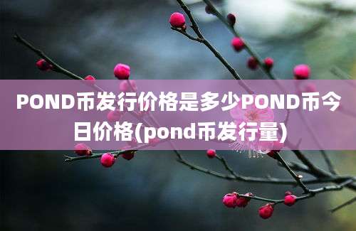 POND币发行价格是多少POND币今日价格(pond币发行量)