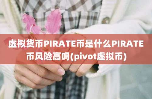 虚拟货币PIRATE币是什么PIRATE币风险高吗(pivot虚拟币)