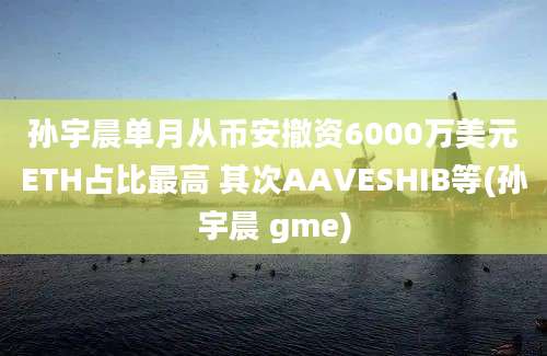 孙宇晨单月从币安撤资6000万美元ETH占比最高 其次AAVESHIB等(孙宇晨 gme)