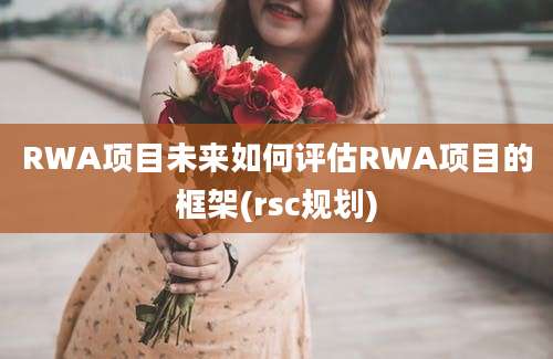 RWA项目未来如何评估RWA项目的框架(rsc规划)