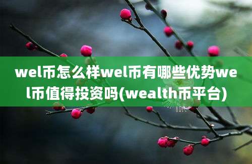 wel币怎么样wel币有哪些优势wel币值得投资吗(wealth币平台)