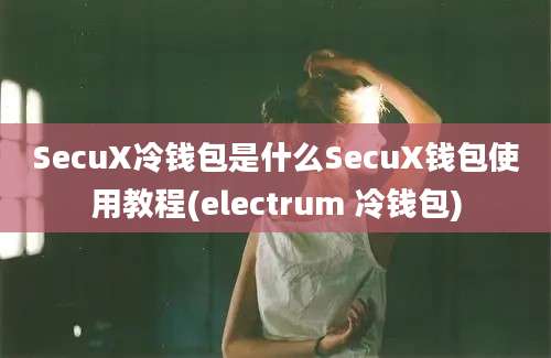 SecuX冷钱包是什么SecuX钱包使用教程(electrum 冷钱包)