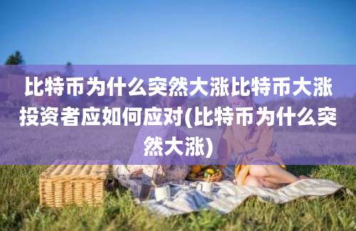 比特币为什么突然大涨比特币大涨投资者应如何应对(比特币为什么突然大涨)