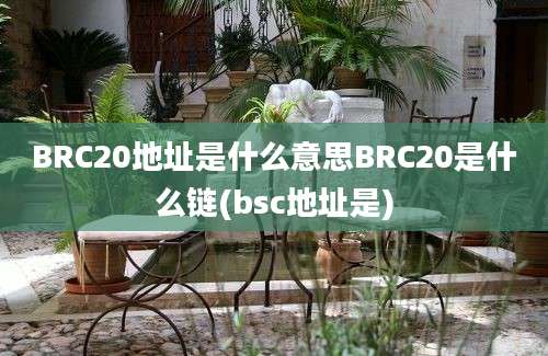 BRC20地址是什么意思BRC20是什么链(bsc地址是)