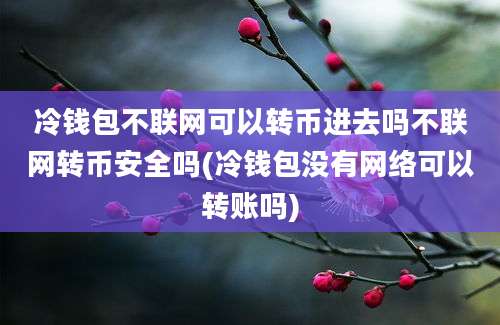 冷钱包不联网可以转币进去吗不联网转币安全吗(冷钱包没有网络可以转账吗)