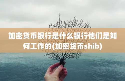 加密货币银行是什么银行他们是如何工作的(加密货币shib)