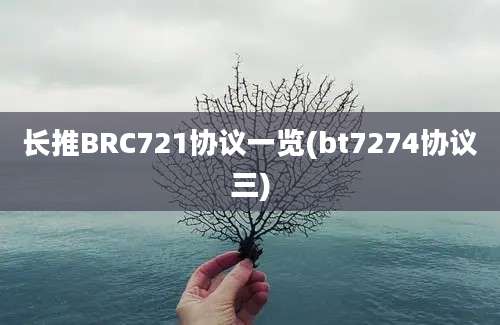 长推BRC721协议一览(bt7274协议三)