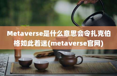 Metaverse是什么意思会令扎克伯格如此着迷(metaverse官网)