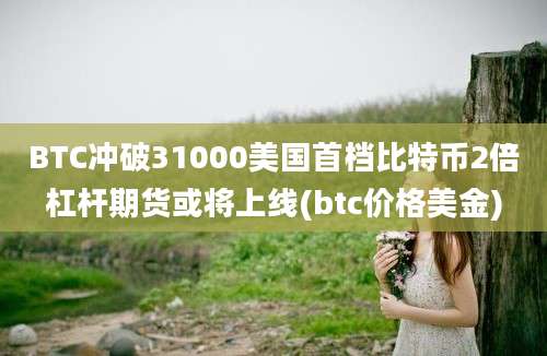 BTC冲破31000美国首档比特币2倍杠杆期货或将上线(btc价格美金)