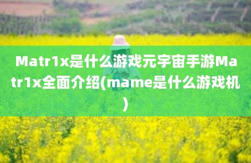 Matr1x是什么游戏元宇宙手游Matr1x全面介绍(mame是什么游戏机)