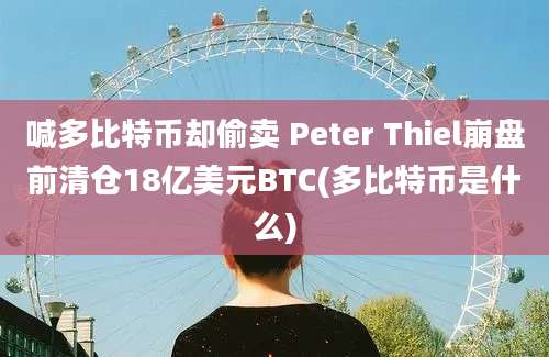 喊多比特币却偷卖 Peter Thiel崩盘前清仓18亿美元BTC(多比特币是什么)