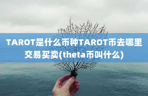 TAROT是什么币种TAROT币去哪里交易买卖(theta币叫什么)