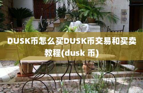 DUSK币怎么买DUSK币交易和买卖教程(dusk 币)