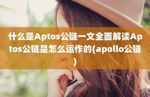 什么是Aptos公链一文全面解读Aptos公链是怎么运作的(apollo公链)