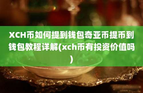 XCH币如何提到钱包奇亚币提币到钱包教程详解(xch币有投资价值吗)