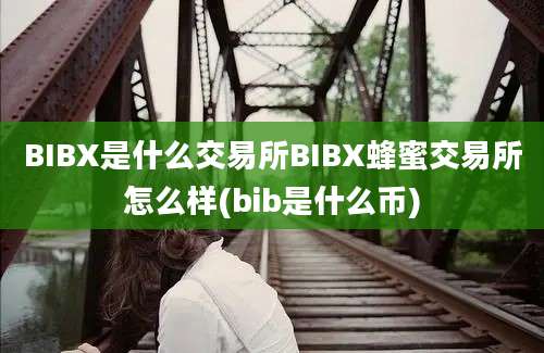 BIBX是什么交易所BIBX蜂蜜交易所怎么样(bib是什么币)