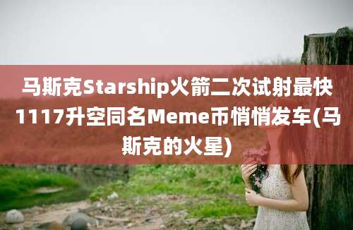 马斯克Starship火箭二次试射最快1117升空同名Meme币悄悄发车(马斯克的火星)