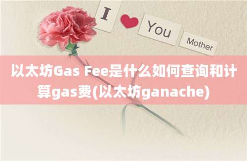 以太坊Gas Fee是什么如何查询和计算gas费(以太坊ganache)