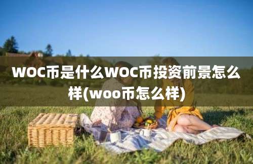 WOC币是什么WOC币投资前景怎么样(woo币怎么样)