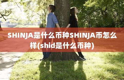 SHINJA是什么币种SHINJA币怎么样(shid是什么币种)