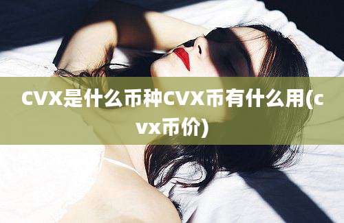 CVX是什么币种CVX币有什么用(cvx币价)