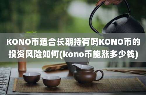 KONO币适合长期持有吗KONO币的投资风险如何(kono币能涨多少钱)