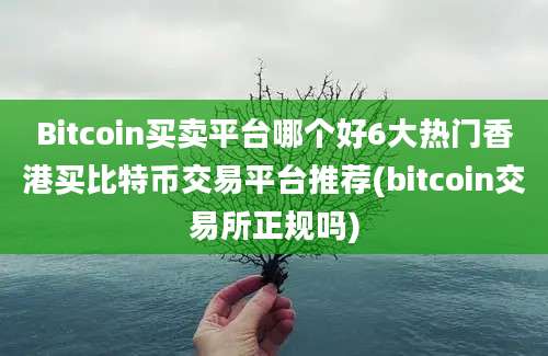 Bitcoin买卖平台哪个好6大热门香港买比特币交易平台推荐(bitcoin交易所正规吗)