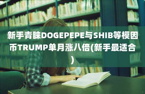 新手青睐DOGEPEPE与SHIB等模因币TRUMP单月涨八倍(新手最适合)