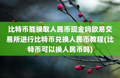 比特币能换取人民币现金吗欧易交易所进行比特币兑换人民币教程(比特币可以换人民币吗)