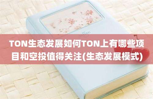 TON生态发展如何TON上有哪些项目和空投值得关注(生态发展模式)