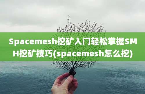 Spacemesh挖矿入门轻松掌握SMH挖矿技巧(spacemesh怎么挖)