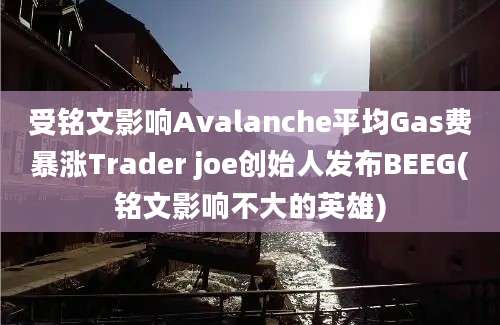 受铭文影响Avalanche平均Gas费暴涨Trader joe创始人发布BEEG(铭文影响不大的英雄)