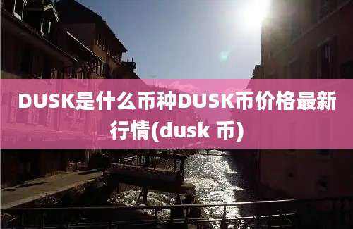 DUSK是什么币种DUSK币价格最新行情(dusk 币)