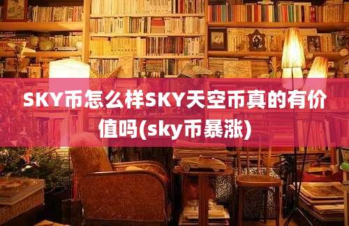 SKY币怎么样SKY天空币真的有价值吗(sky币暴涨)