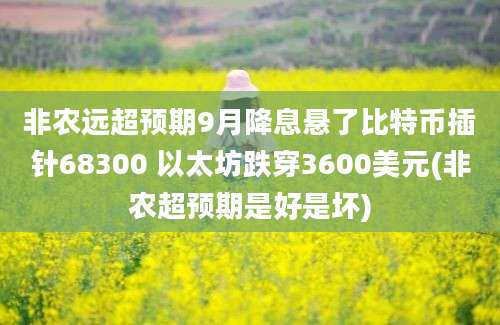 非农远超预期9月降息悬了比特币插针68300 以太坊跌穿3600美元(非农超预期是好是坏)