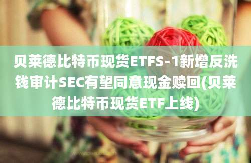 贝莱德比特币现货ETFS-1新增反洗钱审计SEC有望同意现金赎回(贝莱德比特币现货ETF上线)