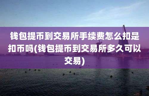 钱包提币到交易所手续费怎么扣是扣币吗(钱包提币到交易所多久可以交易)