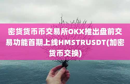 密货货币币交易所OKX推出盘前交易功能首期上线HMSTRUSDT(加密货币交换)