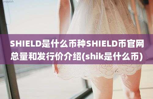 SHIELD是什么币种SHIELD币官网总量和发行价介绍(shik是什么币)