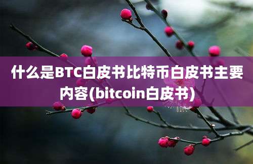 什么是BTC白皮书比特币白皮书主要内容(bitcoin白皮书)